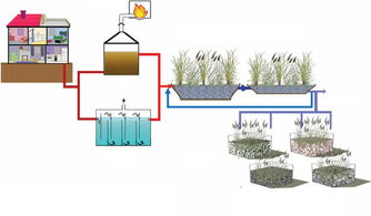 农村湿地生态园工程设备与废水治理方案——浦清环保科技的创新实践