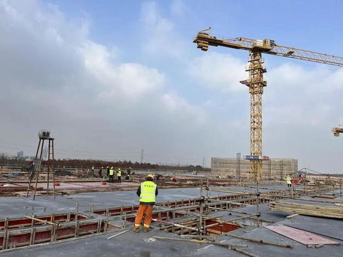 新年伊始施工忙，奉贤西部污水处理厂四期有望三季度投入使用
